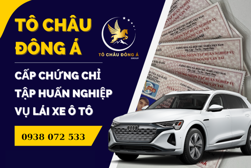 ĐAO-TAO-CHUNG-CHI-TAP-HUAN-NGHIEP-VU-GIA-RE